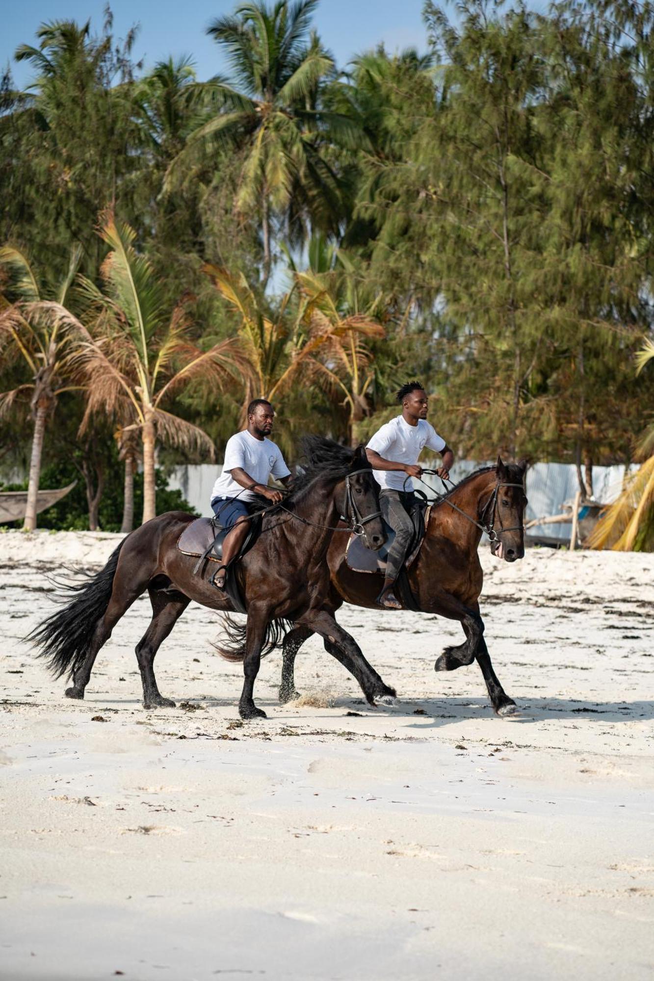 Kinazi Upepo Beach Eco Lodge Paje Kültér fotó